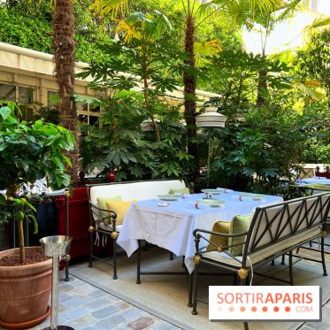 Patio terrasse La Réserve Paris - Terrasse