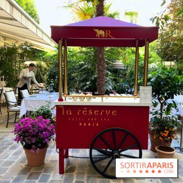 Patio terrasse La Réserve Paris - Terrasse