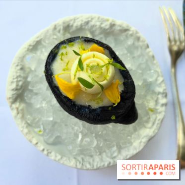 Patio terrasse La Réserve Paris - Citron givré