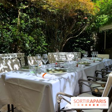 Patio terrasse La Réserve Paris - Terrasse