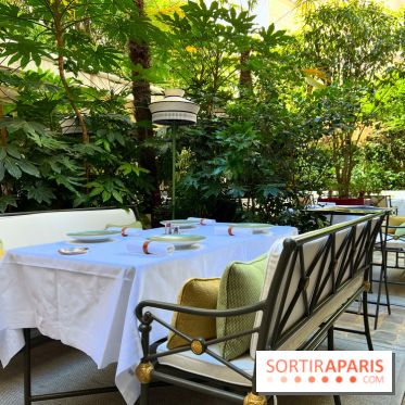 Patio terrasse La Réserve Paris - Terrasse