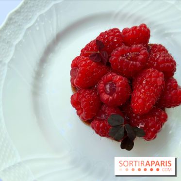 Patio terrasse La Réserve Paris - Tartelette framboises