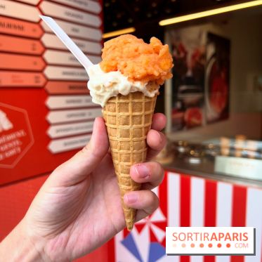 La Glace Alain Ducasse - Sorbet pamplemousse-vermouth, glace cacahuètes