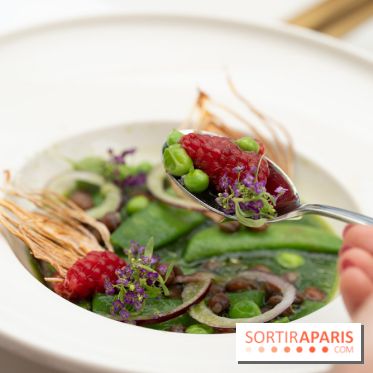 Maison Delano restaurant et terrasse cachée Paris 8e - Jardin des pois