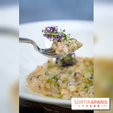 Maison Delano restaurant et terrasse cachée Paris 8e - céleri façon risotto