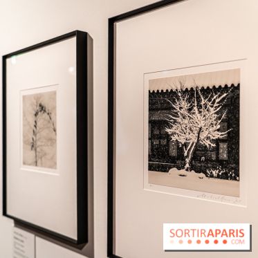 Exposition Haïkus d’argent, l’Asie photographiée par Michael Kenna au MuséeGuimet, les photos - A7C02203