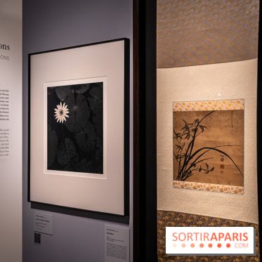 Exposition Haïkus d’argent, l’Asie photographiée par Michael Kenna au MuséeGuimet, les photos - A7C02204