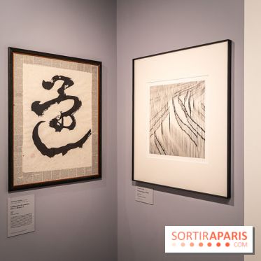Exposition Haïkus d’argent, l’Asie photographiée par Michael Kenna au MuséeGuimet, les photos - A7C02206