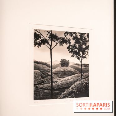 Exposition Haïkus d’argent, l’Asie photographiée par Michael Kenna au MuséeGuimet, les photos - A7C02221