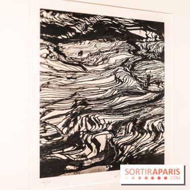 Exposition Haïkus d’argent, l’Asie photographiée par Michael Kenna au MuséeGuimet, les photos - A7C02222