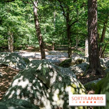 La Folie Barbizon, l'hôtel et restaurant renait entre art et nature - les photos  - A7C03869