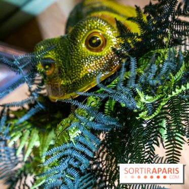 La Folie Barbizon, l'hôtel et restaurant renait entre art et nature - les photos