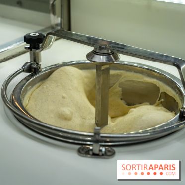 Pedone, le glacier Italien Paris 1er