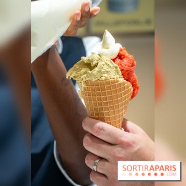 Pedone, le glacier Italien Paris 1er