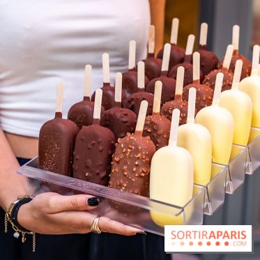 Chapon lance son bar à esquimaux cet été  - A7C04271