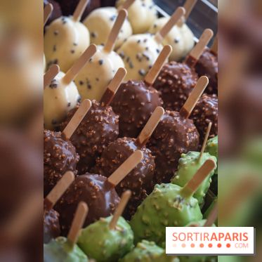 Chapon lance son bar à esquimaux cet été  - A7C04278