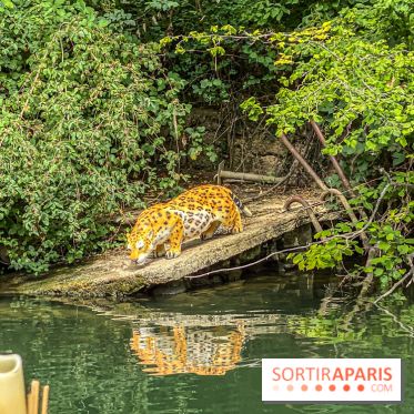Adventure Boat : l’expérience immersive sur un bateau à Nogent-sur-Marne - IMG 6607