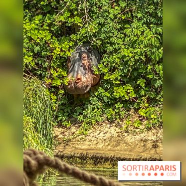 Adventure Boat : l’expérience immersive sur un bateau à Nogent-sur-Marne - IMG 6611