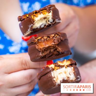 Les bouchées glacées de la Chocolaterie William Artigue, les esquimaux gourmands