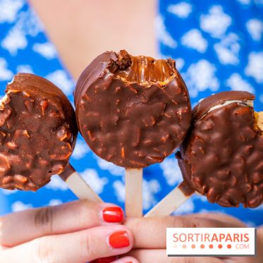 Les bouchées glacées de la Chocolaterie William Artigue, les esquimaux gourmands