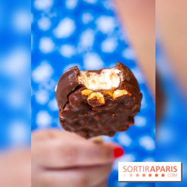 Les bouchées glacées de la Chocolaterie William Artigue, les esquimaux gourmands