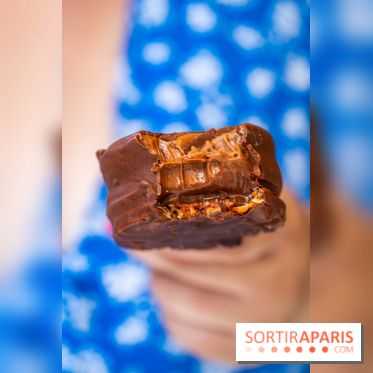 Les bouchées glacées de la Chocolaterie William Artigue, les esquimaux gourmands
