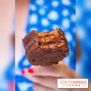 Les bouchées glacées de la Chocolaterie William Artigue, les esquimaux gourmands - A7C04204