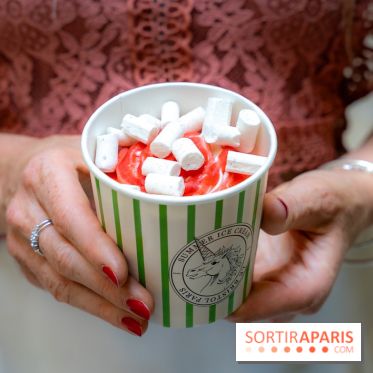 Les glaces gourmandes de l'Épicerie du Bristol - les photos