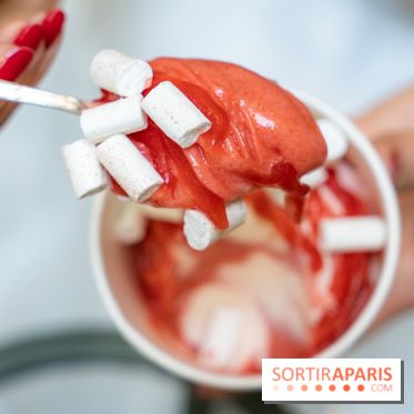 Les glaces gourmandes de l'Épicerie du Bristol - les photos