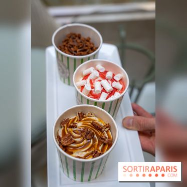 Les glaces gourmandes de l'Épicerie du Bristol - les photos - A7C03291