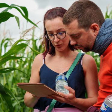 Pop Corn Labyrinthe Yvelines - 4