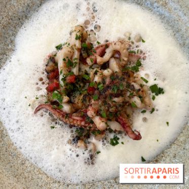 Divellec - Encornets en persillade, chorizo