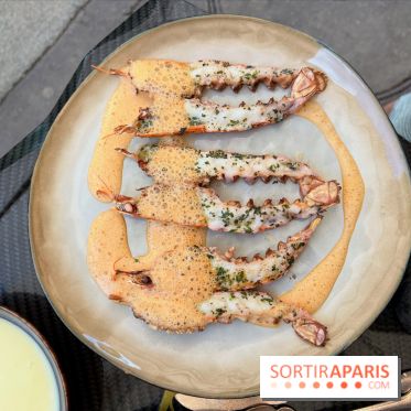 Divellec - Langoustines grillées