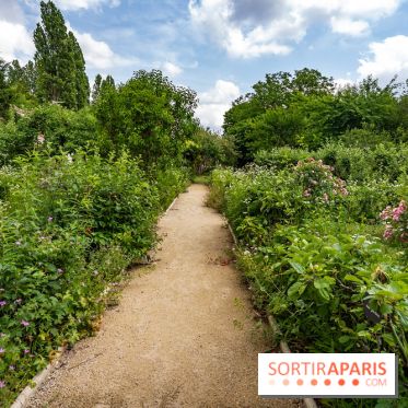 Le Musée Stéphane Mallarmé - 77 - les photos - A7C02487