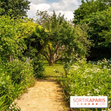 Le Musée Stéphane Mallarmé - 77 - les photos - A7C02489