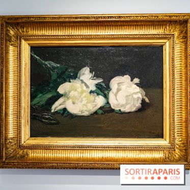 Le Musée Stéphane Mallarmé - 77 - les photos - A7C02434