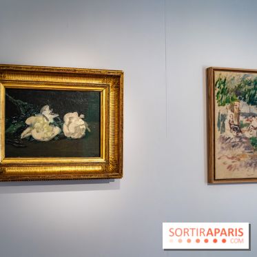 Le Musée Stéphane Mallarmé - 77 - les photos - A7C02435