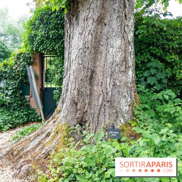 Le Musée Stéphane Mallarmé - 77 - les photos - A7C02423