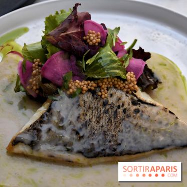 Felini, le bistro franco-italien gourmand du côté de Saint-Georges à Paris - IMG 2100