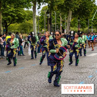 Le Carnaval Tropical 2025, les photos
