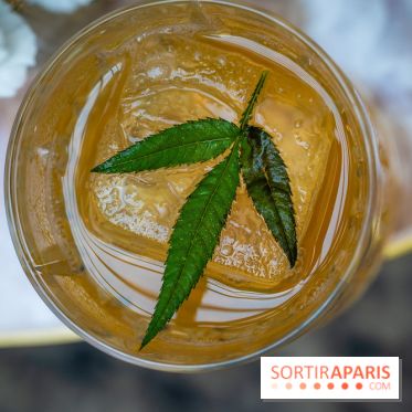 Frivole, restaurant festif, bar et terrasse cachée à Paris, les photos - A7C04326