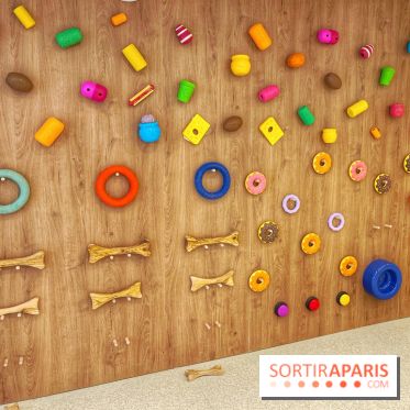 The Dogry - IMG 3582