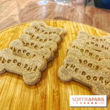 The Dogry - IMG 3599