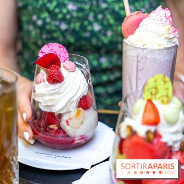 Les glaces et coupes glacées de Pierre Hermé pour l'été  - A7C04951