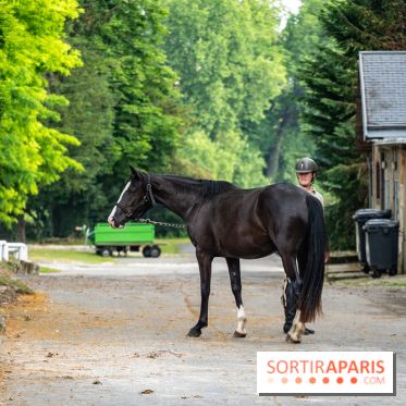 Visite guidée de l'École Mlitaire d'Équitation - A7C02319