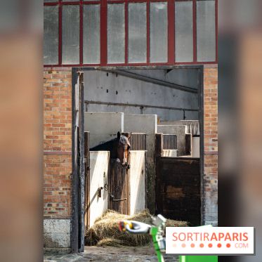Visite guidée de l'École Mlitaire d'Équitation - A7C02343