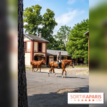 Visite guidée de l'École Mlitaire d'Équitation - A7C02351