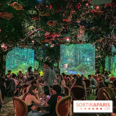 Wonderwoods - IMG 6786