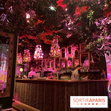 Wonderwoods - IMG 3728