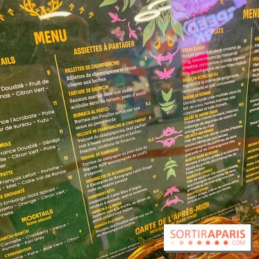 Wonderwoods - IMG 3741